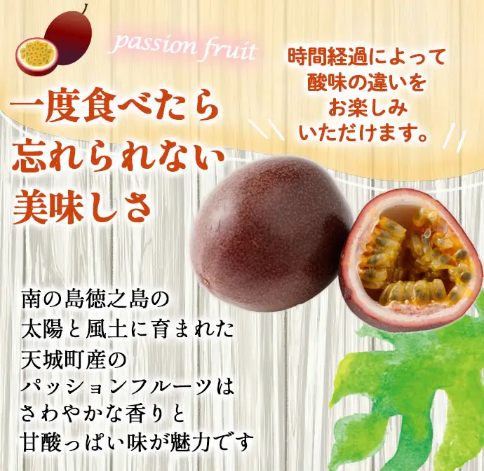 【2027年発送】先行受付 パッションフルーツ 家庭用3kg 果物 フルーツ トロピカルフルーツ AJ-18-N