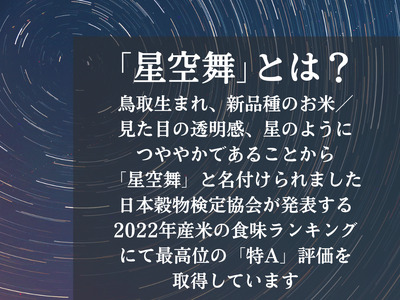 星空舞 お米 2kg×2袋 計4キロ 鳥取県産 精米 JA こめ コメ 送料無料 令和7年産  0535