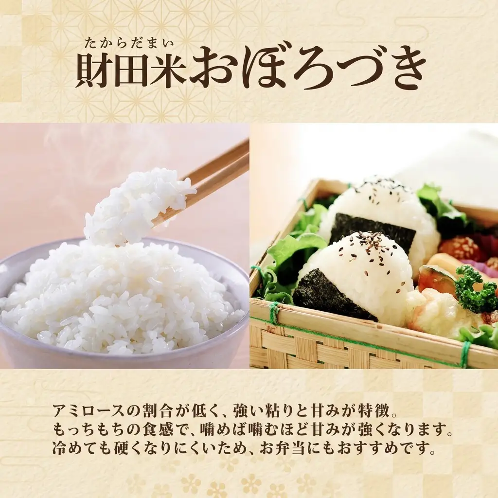 おぼろづき 財田米 北海道産 R7年産 おぼろづき【5kg】