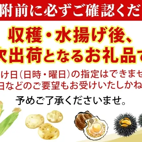 北海道産 活ほたて 2年貝 約4kg 30枚～45枚 2027年1月中旬以降水揚げ次第出荷 ほたて 帆立 ホタテ 生 貝 魚貝 魚介 海産 海鮮 貝柱 噴火湾 刺身 送料無料 北海道 洞爺湖町