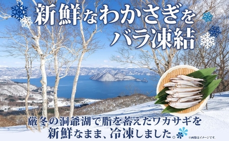 洞爺湖町産 黄金のわかさぎ 18尾×4P 計72尾 12月以降順次出荷 北海道産 ワカサギ わかさぎ 川魚 魚介類 産地直送 冷凍 お取り寄せ グルメ 料理 天ぷら フライ とうやマルシェ 北海道 洞爺湖町
