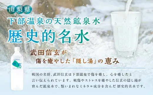  天然鉱泉水「信玄」ナチュラルミネラルウォーター 500ml×24本 飲料類 
