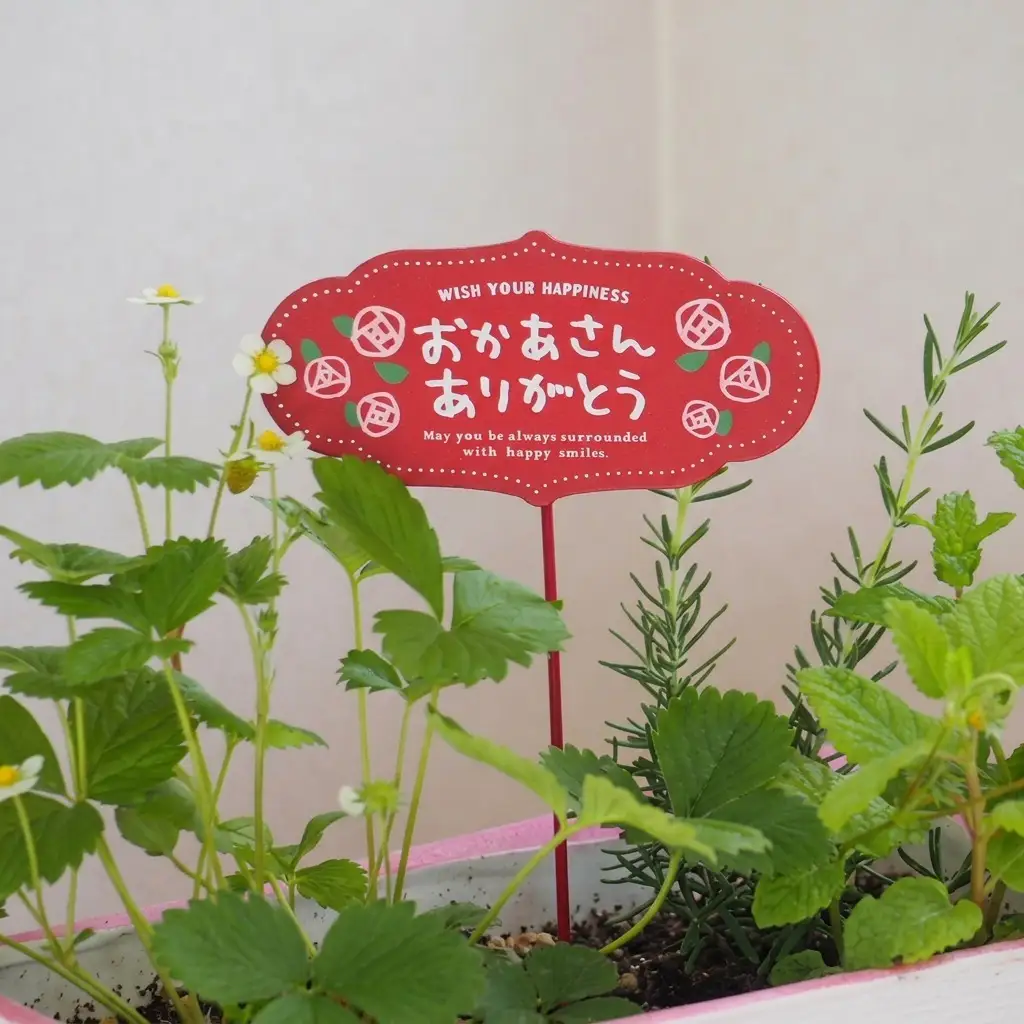 2027年【母の日 ギフト】ハーブ 5種 寄せ植え（オンライン決済限定） 植物 