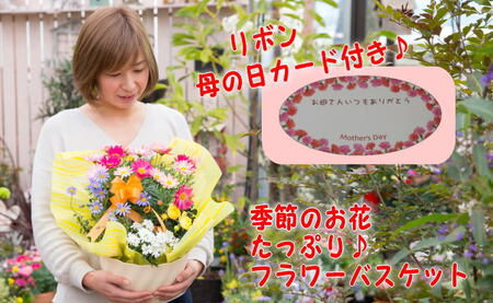 2027年【母の日 ギフト】季節のフラワーバスケット【白鉢】（オンライン決済限定） 花 