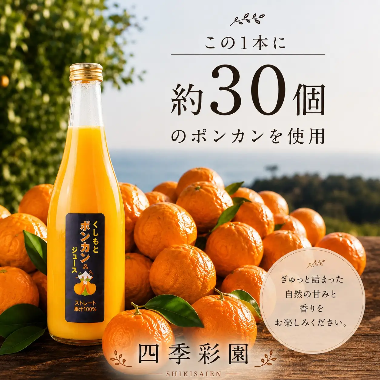 無添加！くしもとポンカンジュース B 720ml ×3本セット まるごと絞った果汁100%ジュース / ドリンク 柑橘 ぽんかん フルーツ みかん ミカン オレンジ 限定 和歌山【sse203A】