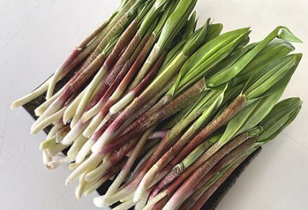 釧路産・天然 鮮度そのまま行者にんにく 100g×2