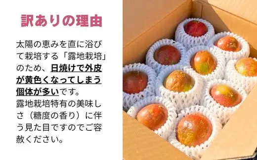 【訳あり】パッションフルーツ果実 10個