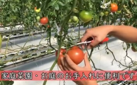 万能はさみ剣先型 　H8-91