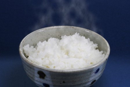 コシヒカリ 10kg 令和4年産 米