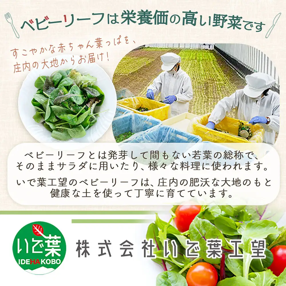 庄内産 ベビーリーフミックス 70g×4袋と野菜用ハーブ塩セット 土耕栽培 サラダ スムージー 若葉 野菜 生野菜 新鮮 山形県 冷蔵