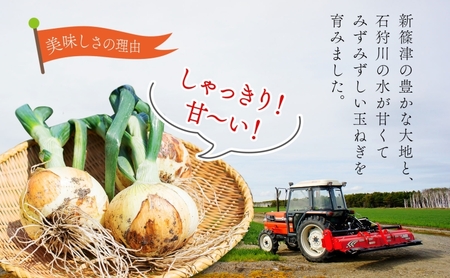 北海道 新しのつ産 玉ねぎ Lサイズ 約5kg オホーツク222 北もみじ2000 玉葱 たまねぎ オニオン 旬 スープ サラダ 農作物 野菜 冬野菜 根菜 常温 カレー 肉じゃが 大きい 5キロ 国産 北海道産 長期保存