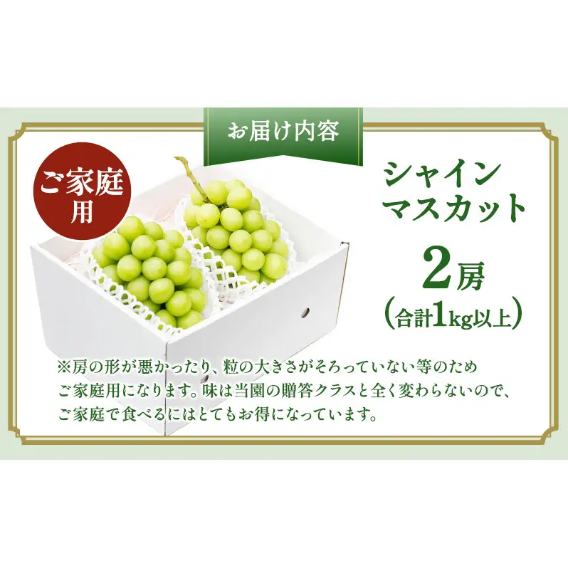 ぶどう 2026年 先行予約 ［ご家庭用］ シャイン マスカット 2房（合計1kg以上）  ブドウ 葡萄  岡山県産 国産 フルーツ 果物 OEC KINGDOM ぶどう家 果物類 