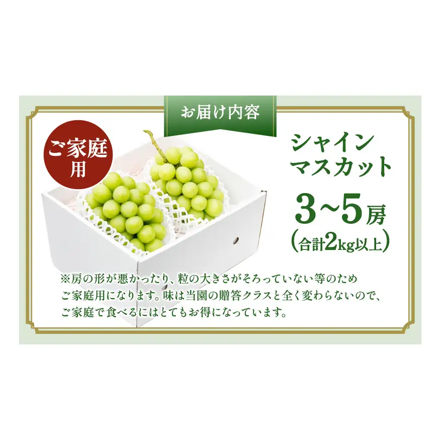 ぶどう 2026年 先行予約 ［ご家庭用］ シャイン マスカット3～5房（合計2kg以上） ブドウ 葡萄  岡山県産 国産 フルーツ 果物 OEC KINGDOM ぶどう家 果物類 
