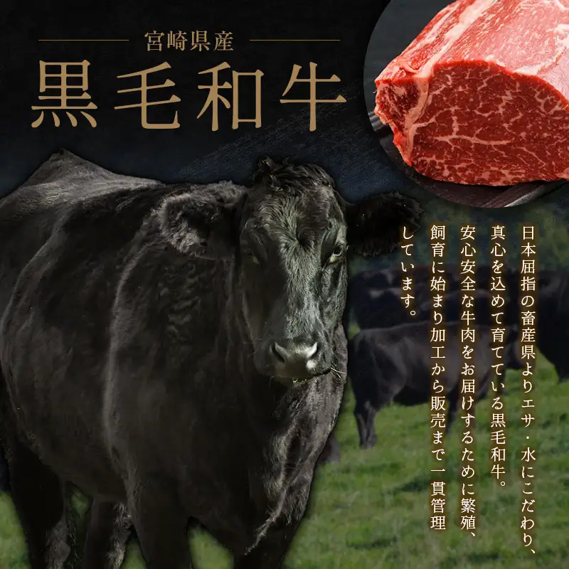 人気の宮崎県産黒毛和牛バラエティー焼肉セット 500g【B492】