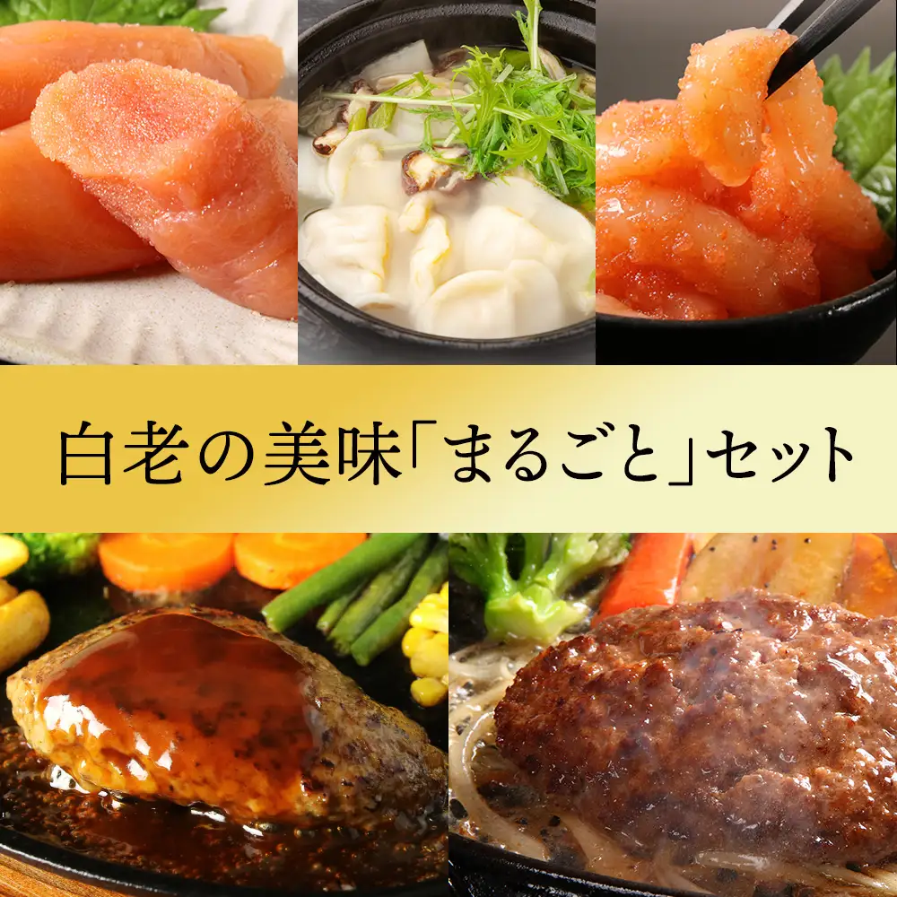［食材王国しらおい］いつでも白老グルメセット AI084