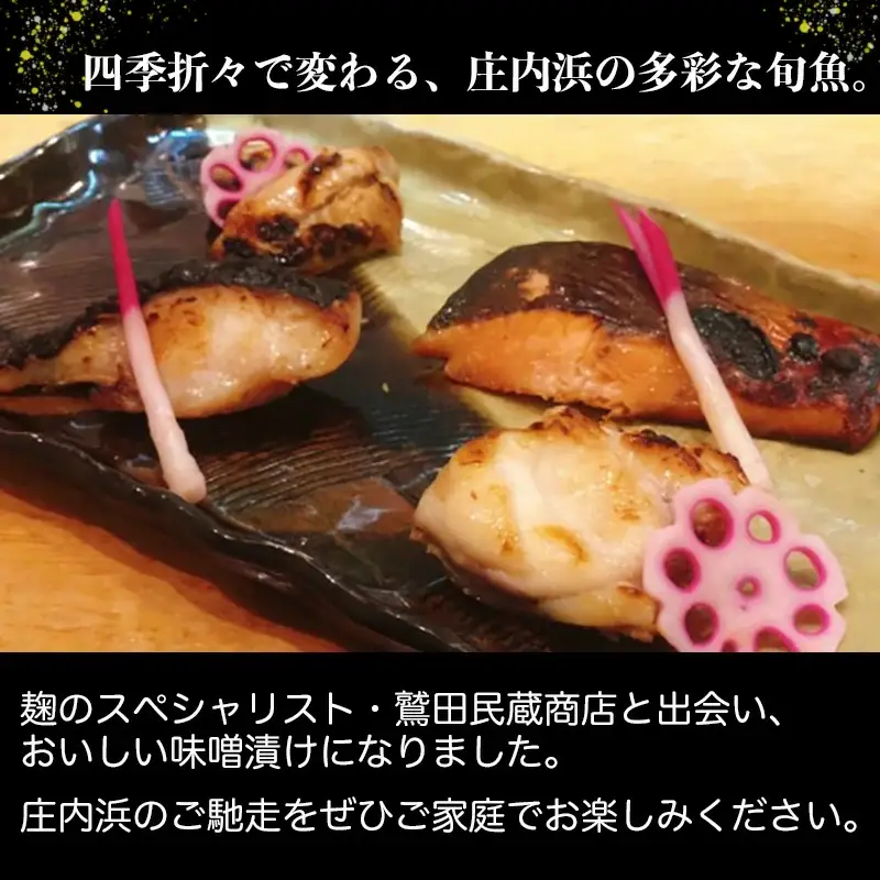 【庄内浜×鷲田民蔵商店】スペシャルコラボ魚介味噌漬けセット　A53-401