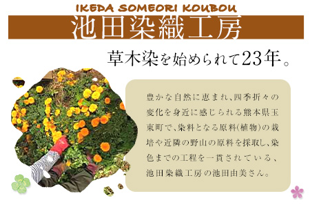 草木染はごろもシルクショール 【青系】選べる4COLOR！ 池田染織工房《60日以内に出荷予定(土日祝除く)》