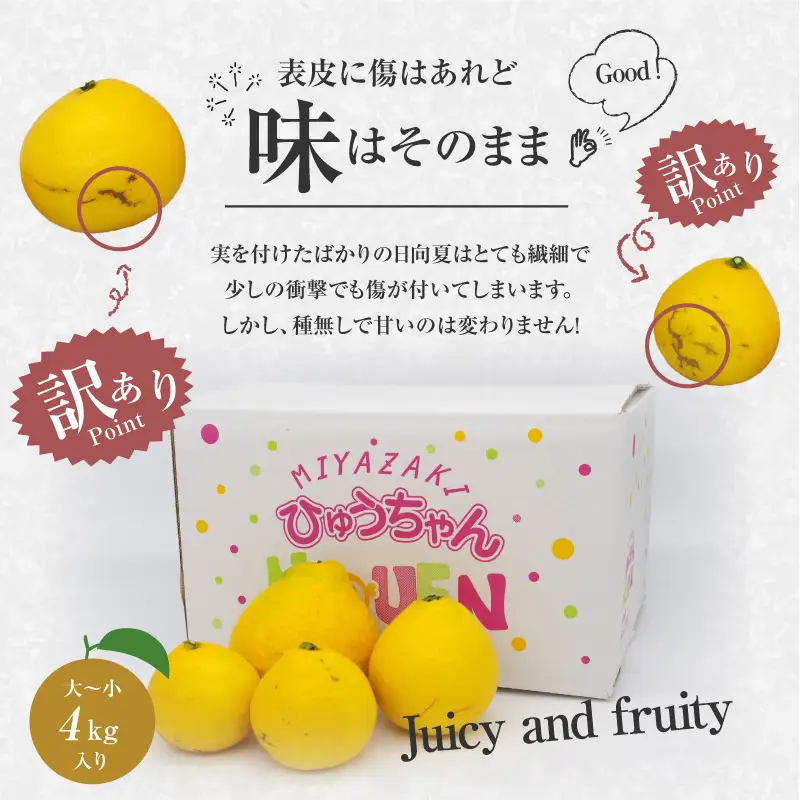 日向夏 種無し 日向夏[訳あり 4kg 2027年発送先行予約]