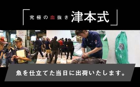 《津本式》へべすぶり2尾　～津本光弘本人仕立て～ フルーツ魚 お刺身 焼き魚