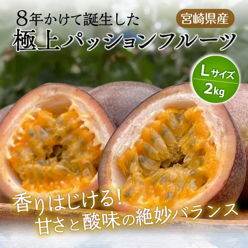 フルーツ パッションフルーツ フルーツ[《2026年発送》 数量・期間限定 Lサイズ 2kg 宮崎県産]