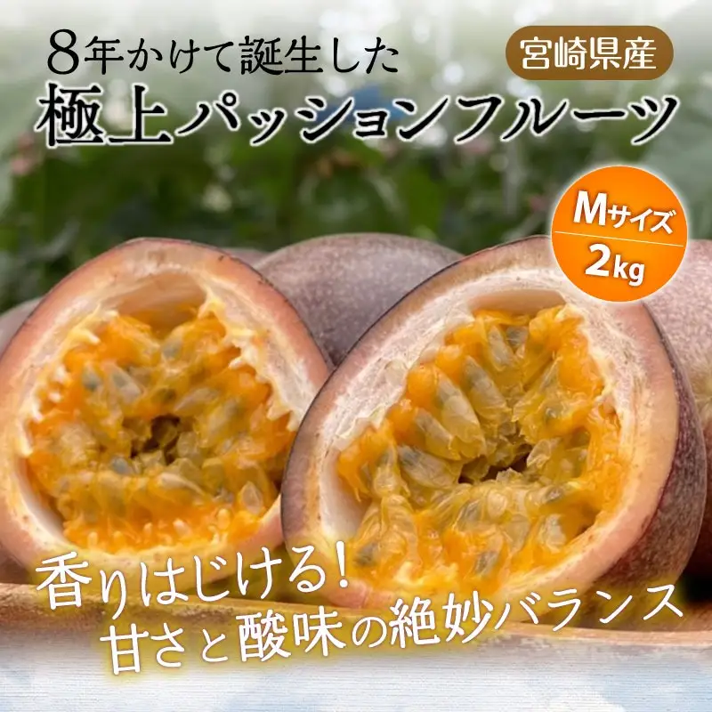 フルーツ パッションフルーツ フルーツ[《2026年発送》 数量・期間限定 Ｍサイズ 2kg 宮崎県産]