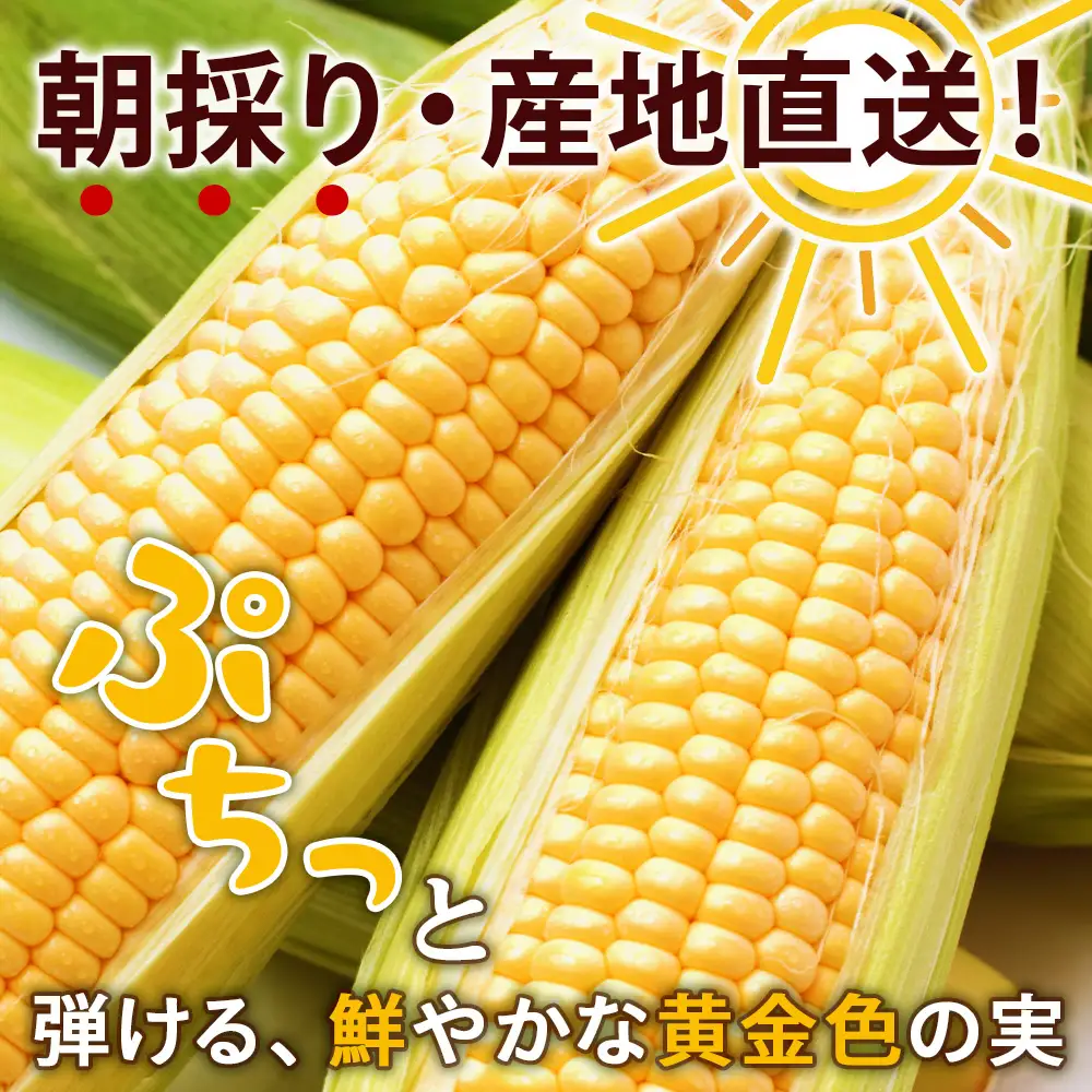 2026年夏発送 キリンラガービール 350ｍl 12缶＆黄色いとうもろこしゴールドラッシュ12本