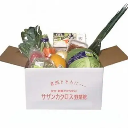 産地直送!旬の朝採れ野菜のセット(9～13種程度)_野菜   _【配送不可地域：離島】【1088636】