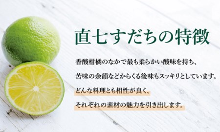 直七すだち果汁 100ml×12本 すだち