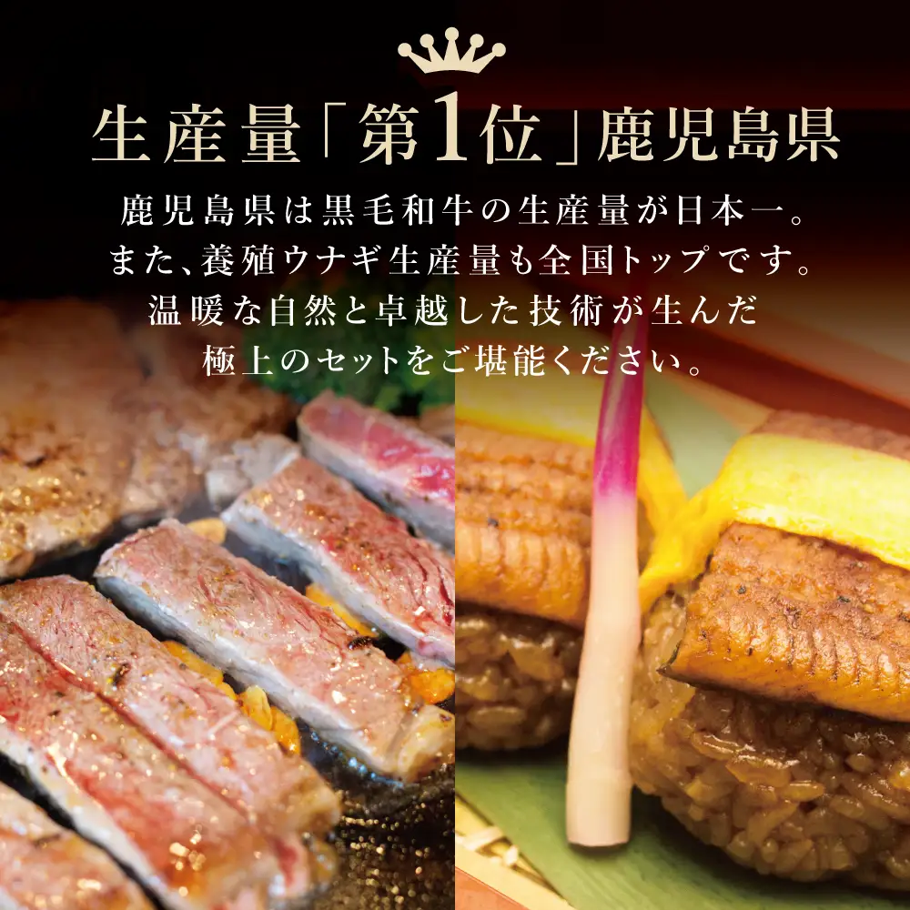 【鹿児島県産】黒毛和牛ステーキとうなぎ蒸しおむすびの贅沢セット（同梱発送） 肉 牛肉 鰻 セット ギフト 贈答 冷凍 スターゼン