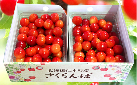 さくらんぼ 1kg サクランボ