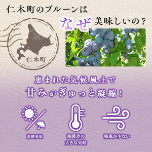 [2026年発送] 北海道 仁木町産 季節のプルーン 1.6kg（400g×4パック）プルーン 果物 果物類 くだもの フルーツ [JA新おたる]