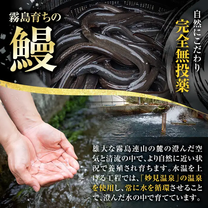 B0-160 数量限定！霧島うなぎ蒲焼きと霧島アユ子持ち甘露煮詰め合わせ(計4点)【田代水産】