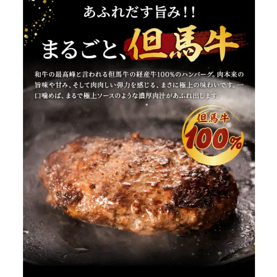 【累計5,000個突破！】但馬牛経産牛ハンバーグ（150g×5個）010AA09N.／個包装 牛肉 黒毛和牛 100% 国産 経産牛 和牛 赤身 味付け ほくぶ バーベキュー bbq キャンプ アウトドア 焼肉 小分け 簡単調理 セット 詰め合わせ 詰合せ 冷凍 お弁当 おかず 惣菜 但馬牛 経産牛