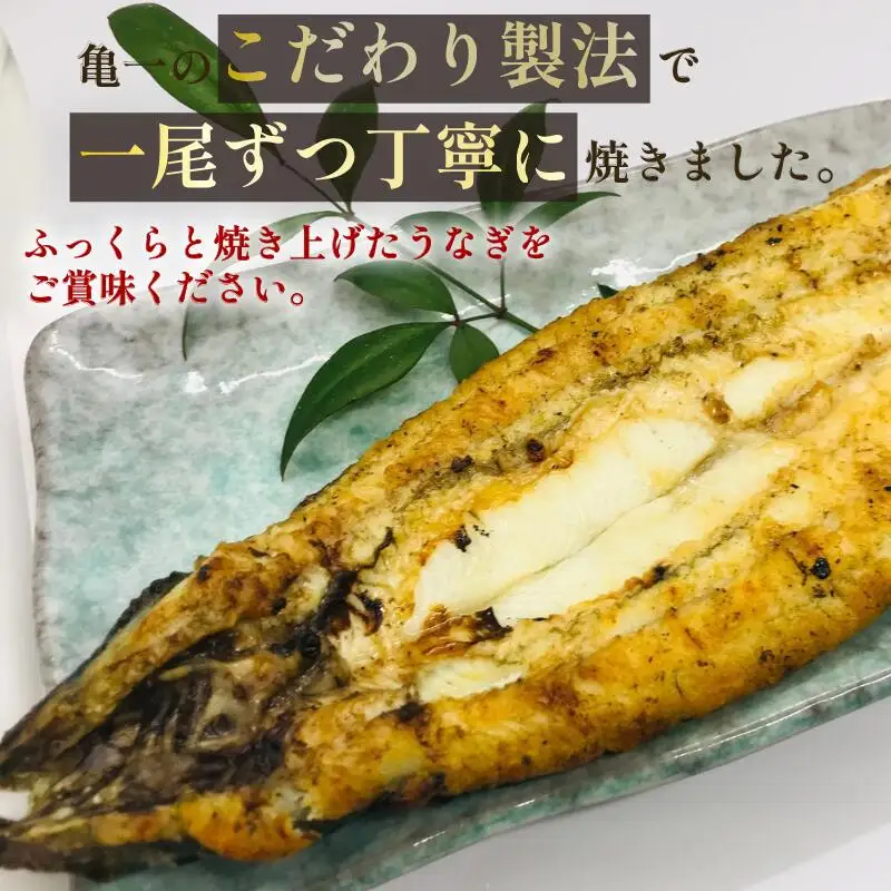 うなぎ 白焼き 1尾 白焼き