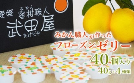 柑橘 フローズン ゼリー 40個 ゼリー みかん職人武田屋