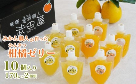 ゼリー 柑橘 河内晩柑 しらぬい 170g 5個 ずつ ギフト 詰め合わせ 有名 みかん職人 武田屋 お取り寄せ 贈り物 贈答品 ジュレ 美味しい フルーツ 果汁 ご当地 内祝い 計10個