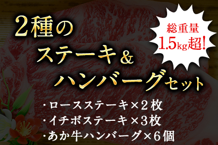 2種のステーキ＆ハンバーグセット 1kg超 赤牛 イチボステーキ ロースステーキ あか牛ハンバーグ 《60日以内に出荷予定(土日祝除く)》 st-p