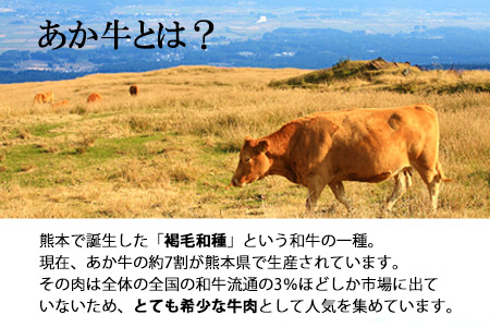 ランプステーキ 150g×2枚 希少部位 赤牛 あかうし《60日以内に出荷予定(土日祝除く)》 st-p