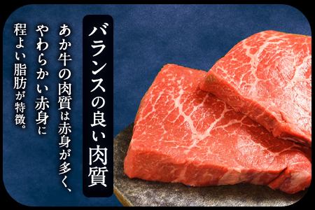 2種のステーキ&ローストビーフセット 1kg超 赤牛 ランプ 《60日以内に出荷予定(土日祝除く)》 st-p