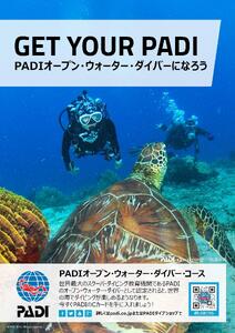 チケット PADIダイビング講習 ｜ 入門OWDコース（2日間eラーニング）1名【恩納村ラグーン】