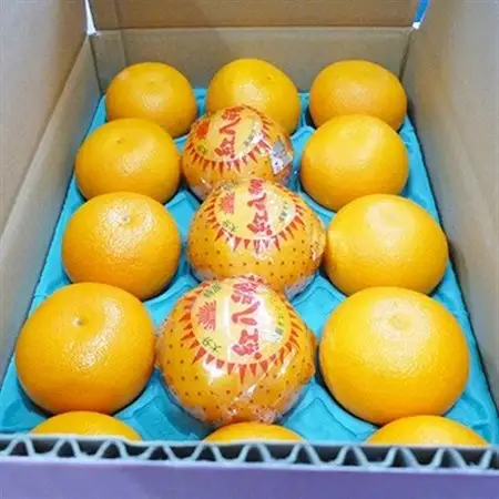 紅八朔　約5kg(化粧箱入り)_果物・フルーツ  柑橘 _【1106338】