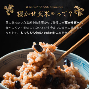 寝かせ玄米ごはんパック 小豆ブレンド 160g×24食 [1610]