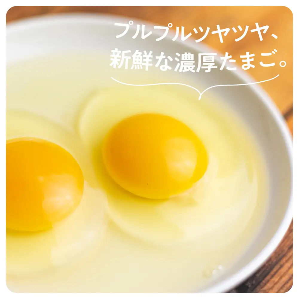 定期便 森のたまご農園 定期便 12ヶ月 30個  LW105