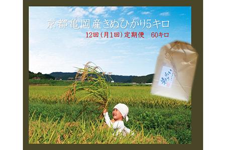 亀岡産きぬひかり こぞう米 5kg×12回定期便 米定期便