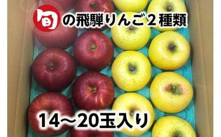 【令和8年産】≪9月中旬～順次発送≫ 飛騨リンゴ 5kg（14～20玉入り）おまかせ２品種 食べ比べ | 数量限定 果物 りんご リンゴ 林檎 フルーツ 旬 飛騨高山 15000円 1万5千円 ぜんぞう果樹園 FX004-26
