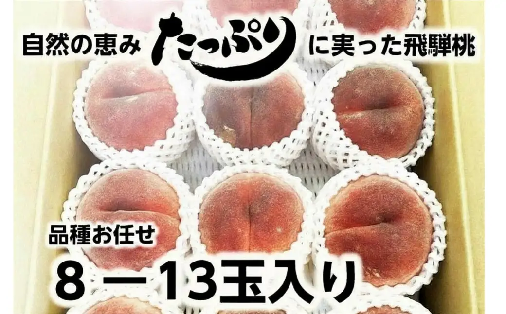 【令和8年産】≪7月下旬～順次発送≫ 飛騨桃 品種 おまかせ 3kg（8～13玉入り）| 数量限定 もも 桃 モモ くだもの 果物 フルーツ 飛騨高山 15000円 1万5千円 ぜんぞう果樹園 FX002