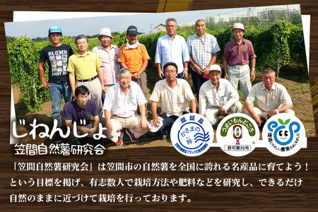 自然薯 カット 約600g 笠間自然薯研究会 DG-002
