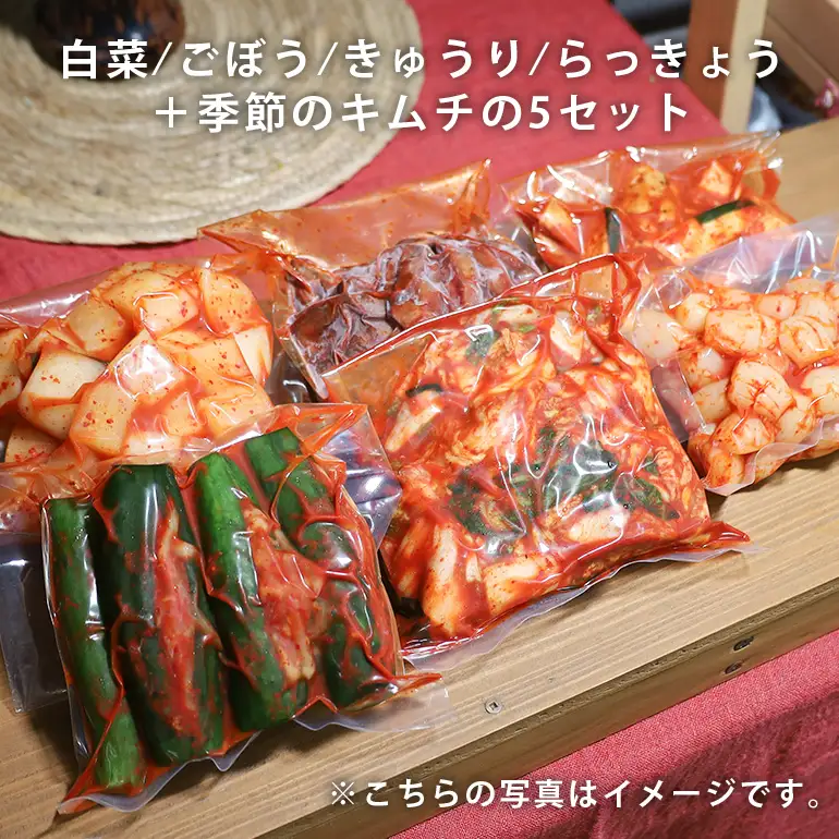 【ふるなびWEEK対象】キムチ 5種 (きゅうり らっきょう ごぼう 白菜 季節のキムチ)セット 2.1kg ～ 2.7kg (1袋 約350～450g×5種類) AF-003