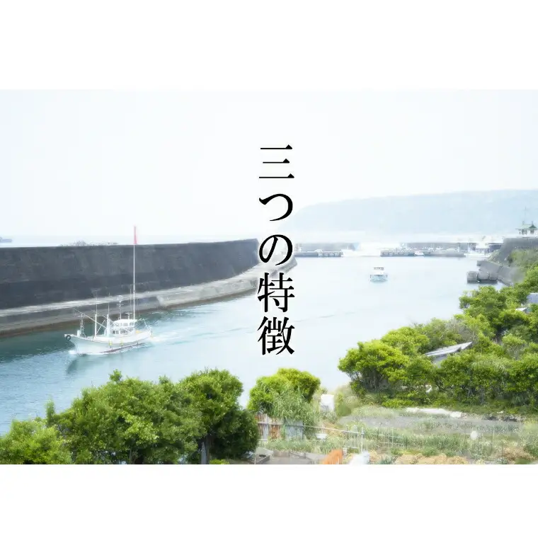 華金目（金目鯛）の煮付け