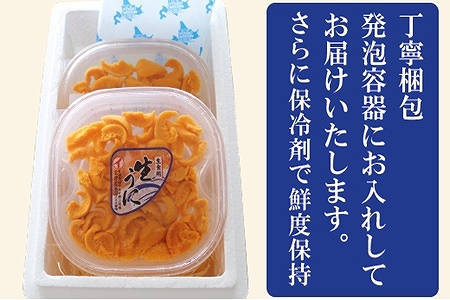 エゾバフンウニ塩水パック約100g×2P[11月中旬以降発送] C-71032